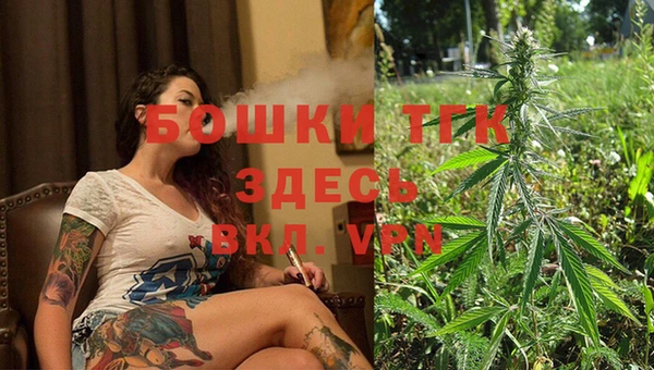 ГАЛЛЮЦИНОГЕННЫЕ ГРИБЫ Медвежьегорск