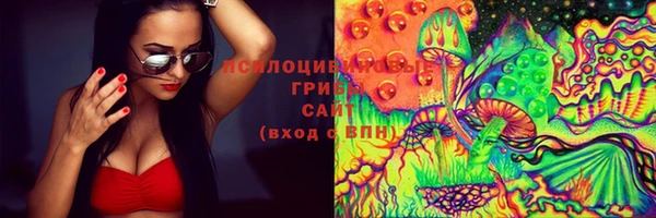 ГАЛЛЮЦИНОГЕННЫЕ ГРИБЫ Медвежьегорск