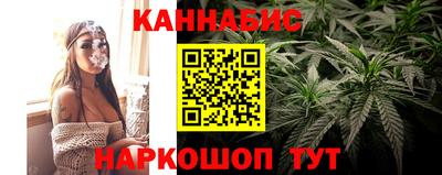 шишки Бийск