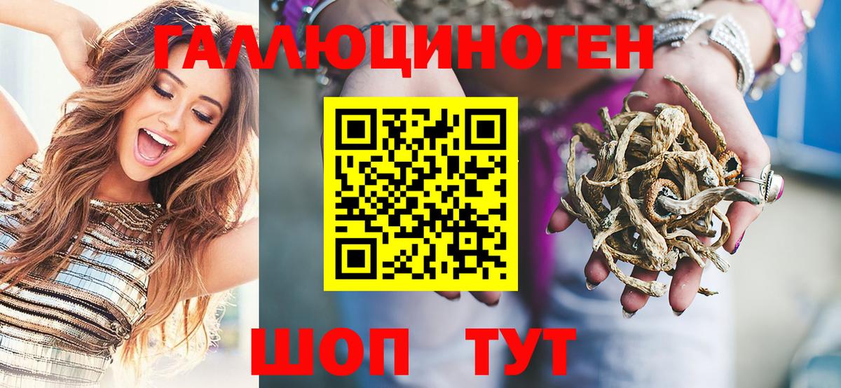 Галлюциногенные грибы прущие грибы Владивосток