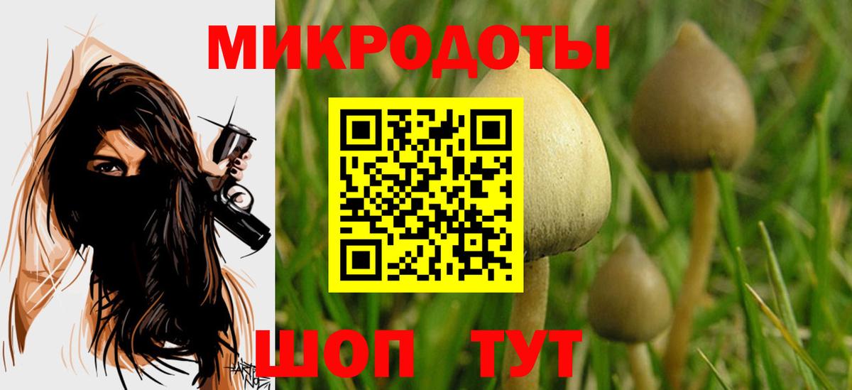 Псилоцибиновые грибы Psilocybine cubensis Владивосток