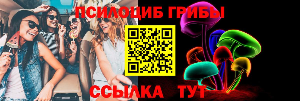 где купить   Псилоцибиновые грибы GOLDEN TEACHER  Вход с VPN  Владивосток  Псилоцибиновые грибы мицелий 