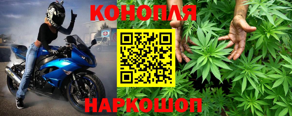 Шишки марихуана конопля  Владивосток  МАРИХУАНА семена 